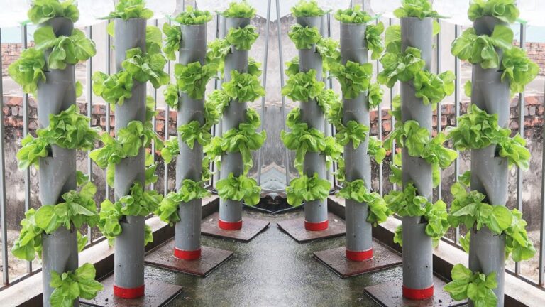 Une vieille astuce pour un potager impeccable grâce à des tuyaux en PVC…