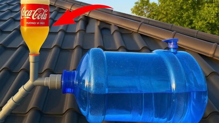 Cette méthode astucieuse transforme vos bouteilles en une source d’eau gratuite…