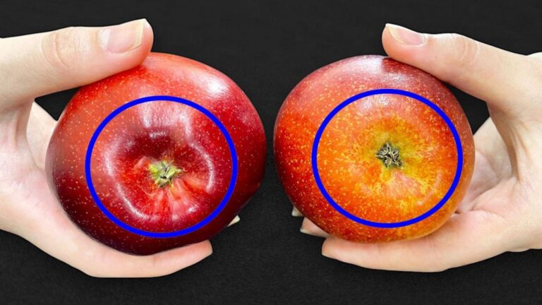 Cette astuce infaillible pour choisir les meilleures pommes va vous surprendre…