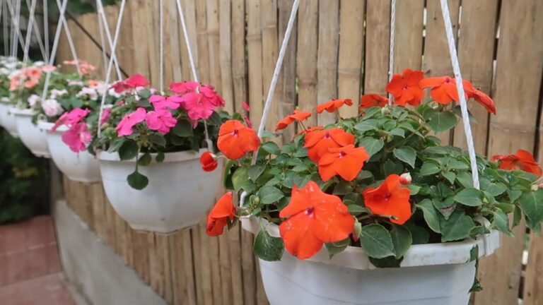 Cette méthode astucieuse transforme votre jardin en un véritable paradis floral…